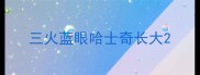 三火蓝眼哈士奇长大