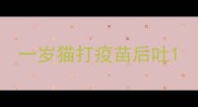 一岁猫打疫苗后吐