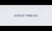 拉布拉多下嘴唇长包