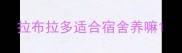 拉布拉多适合宿舍养嘛