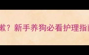 两个月大幼犬频繁咳嗽新手养狗必看护理指南附紧急处理方法