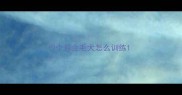 9个月金毛犬怎么训练