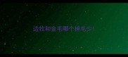 边牧和金毛哪个掉毛少