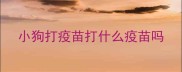 小狗打疫苗打什么疫苗吗