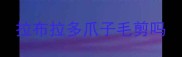 拉布拉多爪子毛剪吗