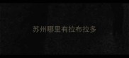 苏州哪里有拉布拉多