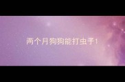 两个月狗狗能打虫子