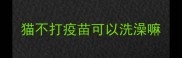 猫不打疫苗可以洗澡嘛