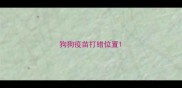 狗狗疫苗打错位置