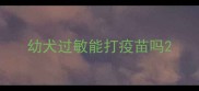 幼犬过敏能打疫苗吗