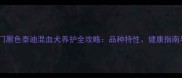 北京上海热门黑色泰迪混血犬养护全攻略品种特性健康指南与训练技巧