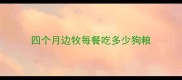 四个月边牧每餐吃多少狗粮