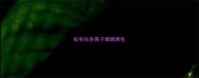 拉布拉多鼻子眼睛掉毛