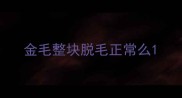 金毛整块脱毛正常么