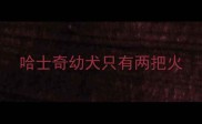哈士奇幼犬只有两把火