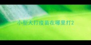 小型犬打疫苗在哪里打