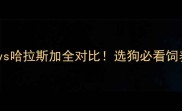 哈士奇vs哈拉斯加全对比选狗必看饲养指南