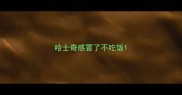 哈士奇感冒了不吃饭