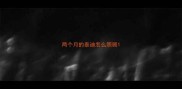 两个月的泰迪怎么照顾