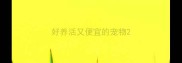好养活又便宜的宠物