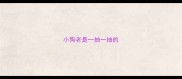 小狗老是一抽一抽的