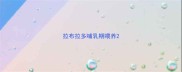 拉布拉多哺乳期喂养