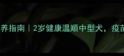 宁波拉布拉多母犬领养指南2岁健康温顺中型犬疫苗齐全可看谱系血统