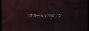 狗狗一天没拉屎了