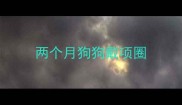 两个月狗狗戴项圈