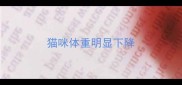 猫咪体重明显下降