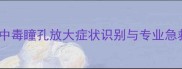 哈士奇中毒瞳孔放大症状识别与专业急救指南