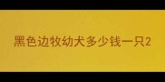 黑色边牧幼犬多少钱一只