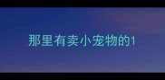 那里有卖小宠物的