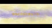 宠物店回收比熊多少钱