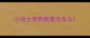 小哈士奇狗粮要泡多久