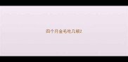 四个月金毛吃几顿