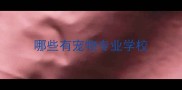 哪些有宠物专业学校