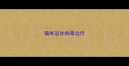 猫咪冠状病毒治疗