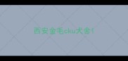 西安金毛cku犬舍