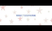 狗狗吃了没泡开的狗粮