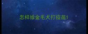 怎样给金毛犬打疫苗