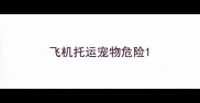 飞机托运宠物危险