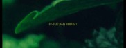 拉布拉多有泪腺吗