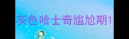 灰色哈士奇尴尬期