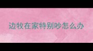 边牧在家特别吵怎么办
