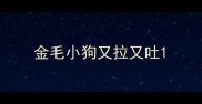 金毛小狗又拉又吐