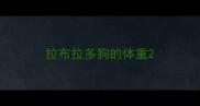 拉布拉多狗的体重