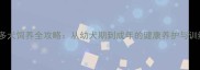 拉布拉多犬饲养全攻略从幼犬期到成年的健康养护与训练指南
