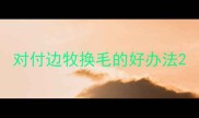 对付边牧换毛的好办法