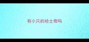 有小只的哈士奇吗